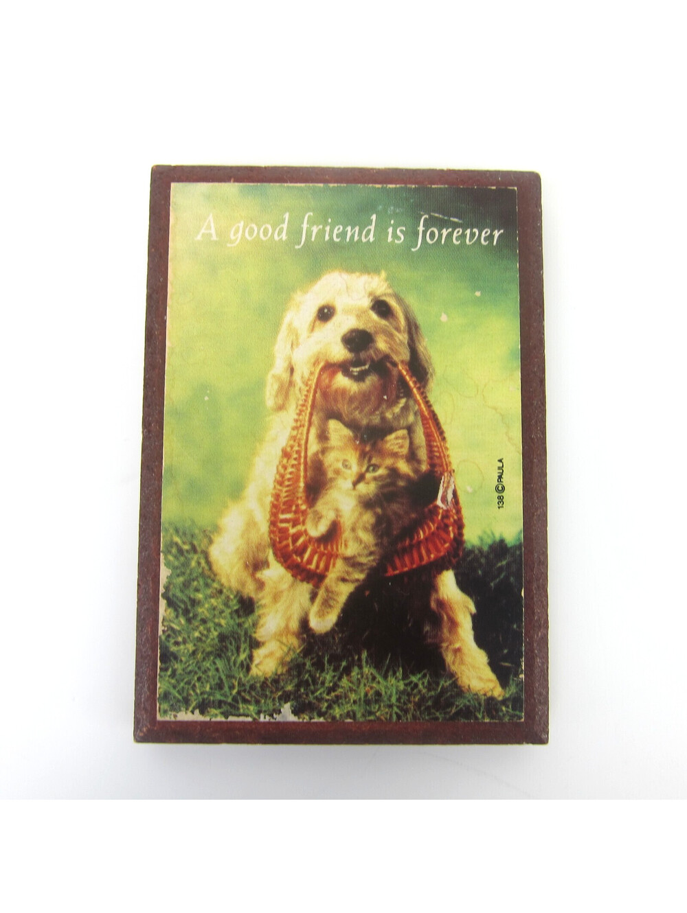Vintage Dog & Cat Fridge Magnet Richard Stacks Photograph Print Wood Frame 1980s